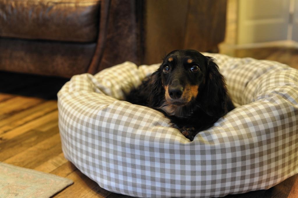 nice looking dog beds