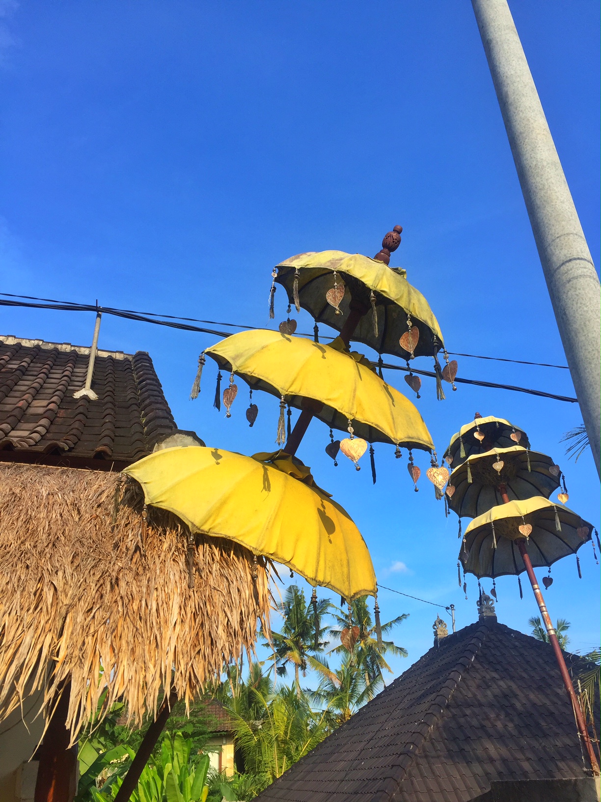 Umbrella Bali